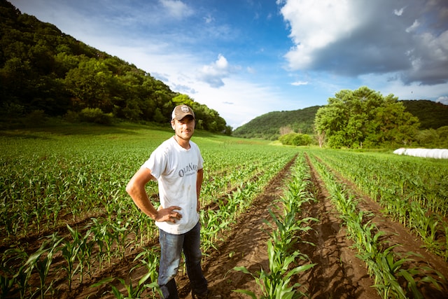USDA Programs for Farmers