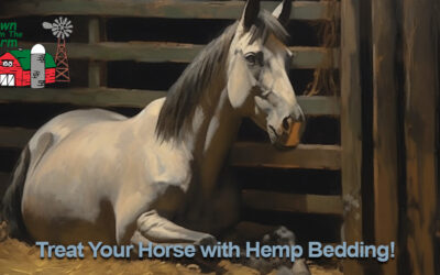 Hemp Bedding for Horses: A Sustainable Choice for Equine Comfort